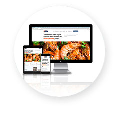 Paginas Web Mazatlan